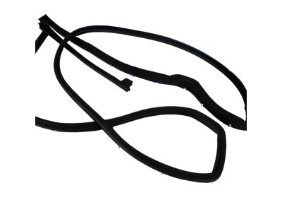Mopar 55112375AD Weatherstrip Rear Door Mounted