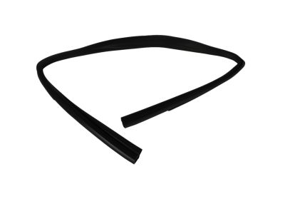 Mopar 5074560AH Weatherstrip Front Door Glass