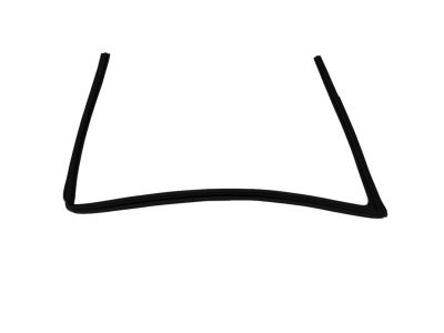 Mopar 5074560AH Weatherstrip Front Door Glass