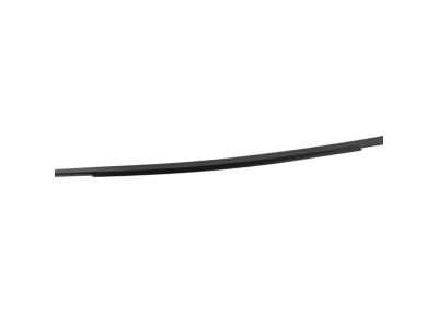 Mopar 68156231AD Weatherstrip, Door Belt Outer Front Door