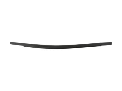 Mopar 68156231AD Weatherstrip, Door Belt Outer Front Door
