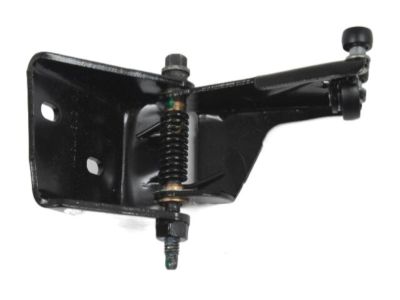 Dodge Caravan Door Hinge - 4894037AE