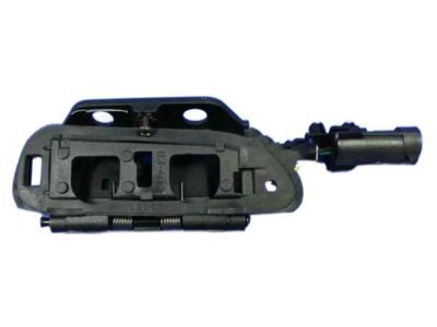 2010 Dodge Viper Door Handle - 5029144AB