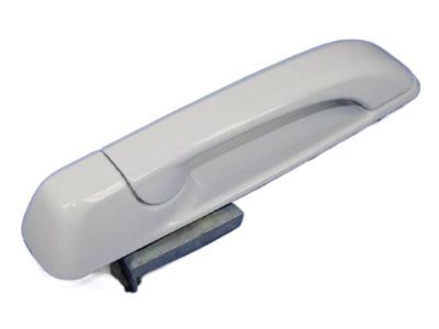 Ram 1GH19GW7AF Handle, Outside