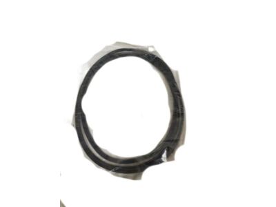 Chrysler 4805337AA Reveal Molding