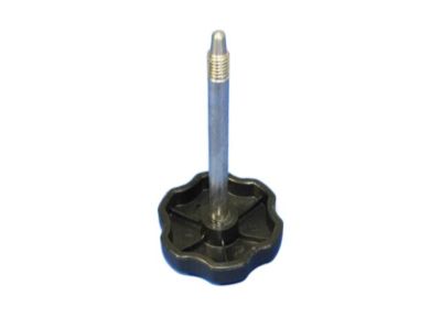 Jeep 55397130AB PIN Door Frame