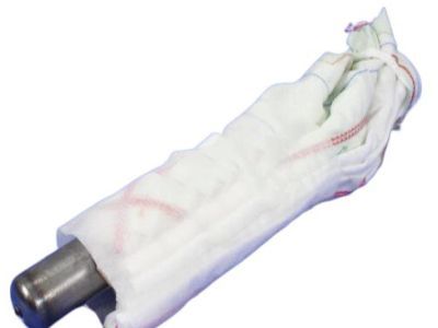 Chrysler 300 Air Bag - 5108077AF