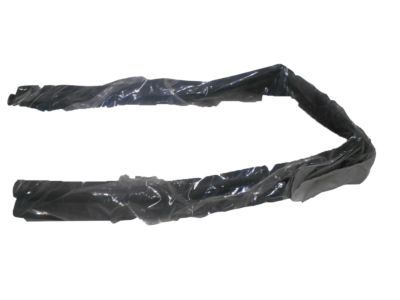 Dodge Durango Door Seal - 55364332AB