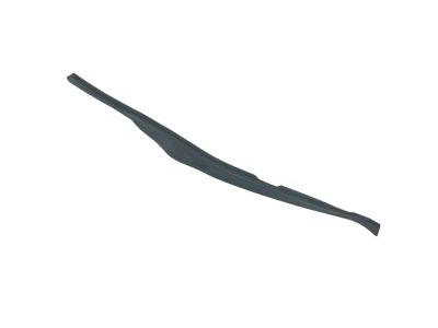 Mopar 68188806AA Seal Rear Door