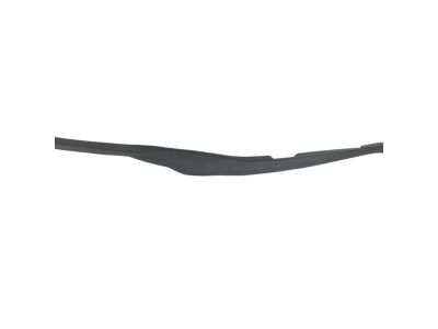 Mopar 68188806AA Seal Rear Door