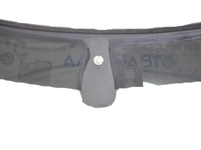 Mopar 55112739AC Windshield, Front