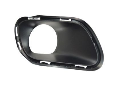 Jeep 68203221AA Lamp Cover