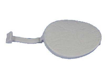 Mopar WQ06TL2AA Windshield Trim Plug