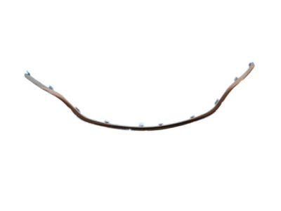 Mopar 68202984AB Molding, Front