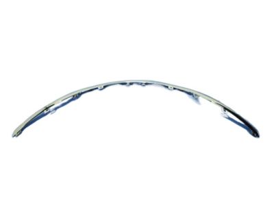 Mopar 68202984AB Molding, Front