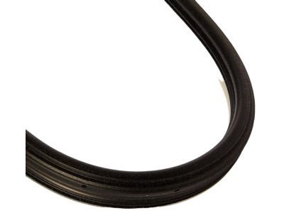 Dodge Magnum Door Seal - UQ20BD1AC