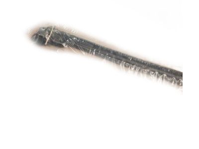 Mopar 68447905AB Weatherstrip Windshield To Cowl