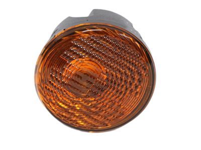 Jeep 55077885AD Parking/Turn Lamp