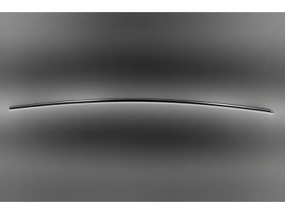 Mopar 68196930AA Molding Rear Door