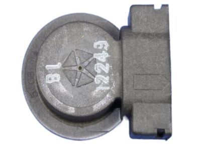 Mopar 68060366AA Socket, Front