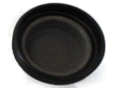 Dodge Dynasty Camshaft Plug - 4343903