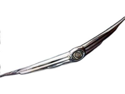 Chrysler 1BJ09401AA PLINTH Winged Medallion