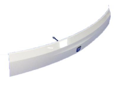 Ram Tailgate Handle - 1VW72SW1AB