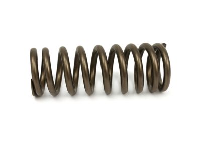 Mopar 4892675AA Spring Valve