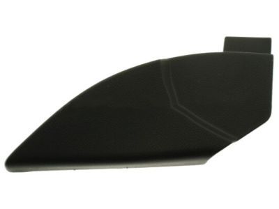 Ram 1HA43DX9AA COVER Mirror Flag