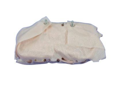 Jeep Air Bag - 52029335AD