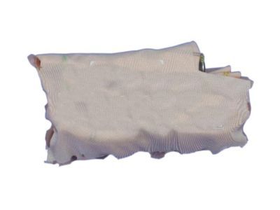 Jeep Air Bag - 52029335AD