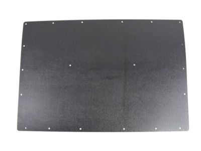 Ram 1ZP97LAHAA PANEL Sliding Door Trim