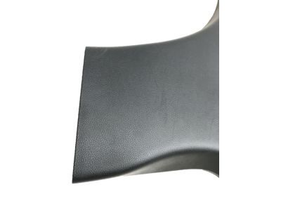 Dodge 1GG59DX9AB PANEL B Pillar Lower Trim