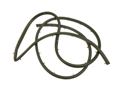 Dodge B3500 Door Seal - 55346676AI