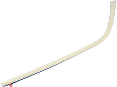 Mopar 57010408AC Molding Rear Door