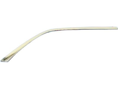 Mopar 57010408AC Molding Rear Door