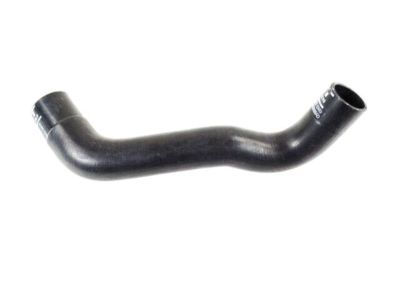 Dodge Durango Radiator Hose - 52028989AD