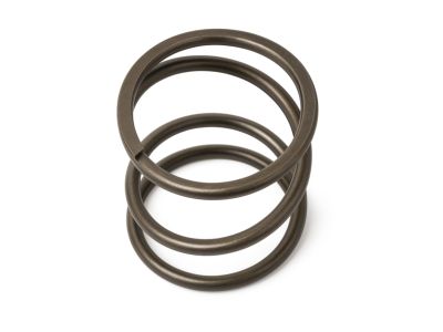 Mopar 5078624AA Spring Direct Clutch Piston Return