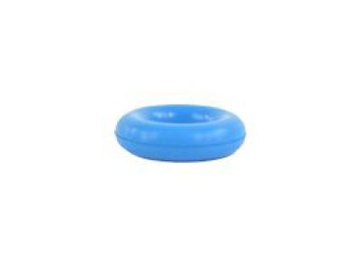 Ram Fuel Injector Seal - 4897125AA