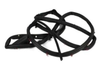 Dodge Magnum Door Seal - 5065164AI