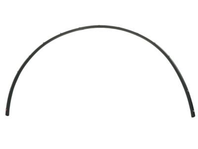 Chrysler Voyager Weather Strip - 68243221AA