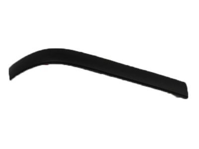 Dodge 55275359 Molding