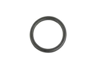 Jeep 4884873AA Inlet Tube O-Ring
