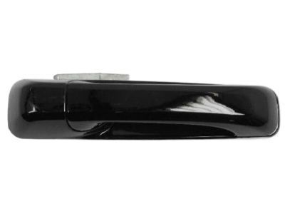 Ram 1GH18DX8AD HANDLE Exterior Door