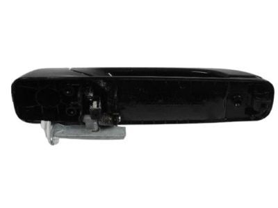 Ram 1GH18DX8AD HANDLE Exterior Door