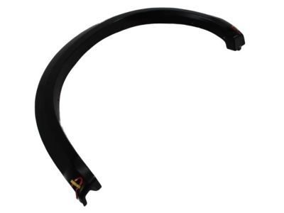 Ram 1TD44TZZAA MOLDING Wheel Opening Flare Rear