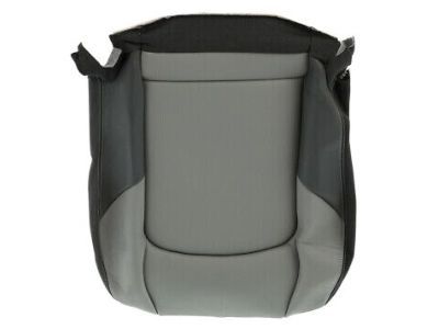 Ram 1XT35BD3AA Cushion Cover