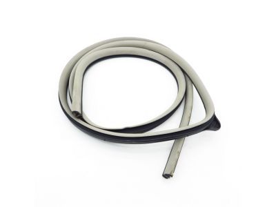 Dodge 1DA08BD1AG WEATHERSTRIP Front Door Opening