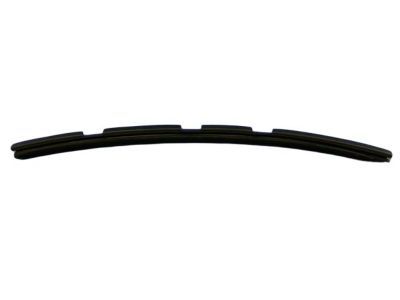 Dodge 4865579AC WEATHERSTRIP Door Belt Inner