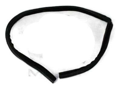 Dodge Ram 1500 Window Run - 55277027AD